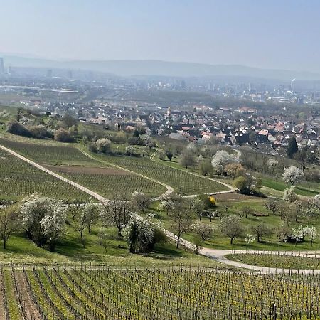 Landgasthof Rebstock Weil Am Rhein / Basel Hotel ภายนอก รูปภาพ