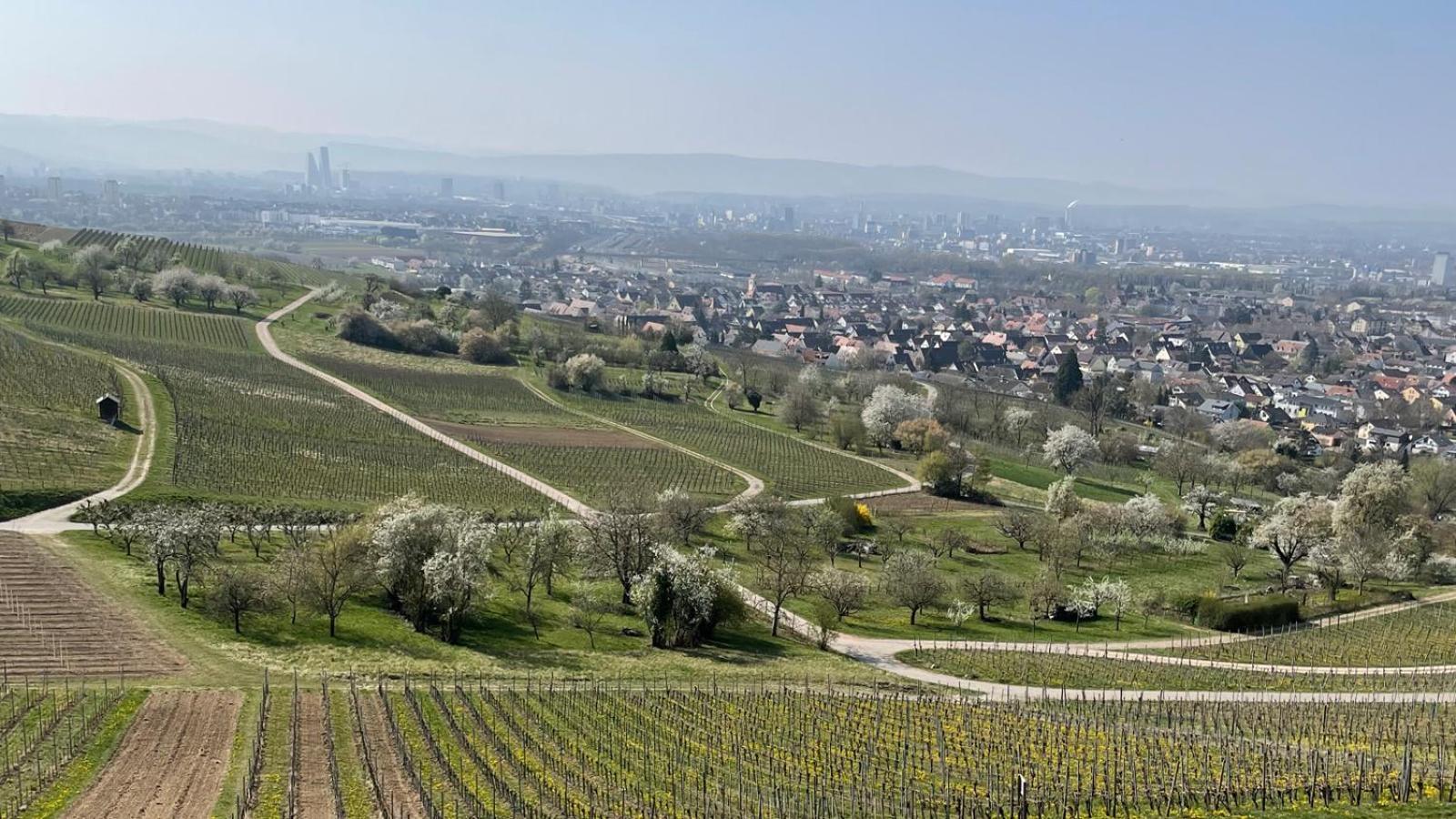Landgasthof Rebstock Weil Am Rhein / Basel ภายนอก รูปภาพ